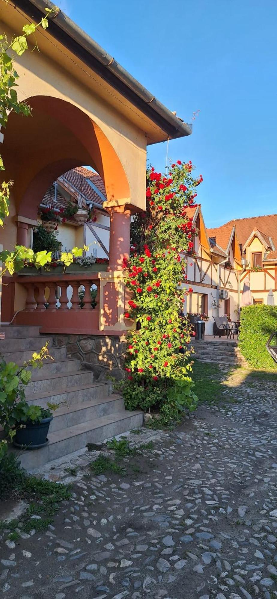 Pensiunea Bendorfeanu Răşinari Exterior foto